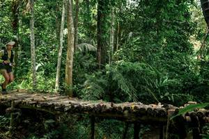 BIB: 
                            <button type="button" onclick="openModal(24766195)" class="btn btn-primary btn-sm float-right btn-popup" data-toggle="modal" data-target=".modal-high-quality">
                        <i class="fas fa-shopping-cart"></i> Add to Cart
                    </button>
                                            <button type="button" onclick="isThisMe(24766195, true)" class="btn btn-success btn-sm float-right btn-popup btn-isme hidden" data-toggle="tooltip" data-placement="bottom" title="นี่คือรูปของคุณใช่ไหม คลิกที่นี่เพื่อเอาเข้าอัลบั้ม">
                        <i class="fas fa-plus"></i> Add to album
                    </button>
                    <button type="button" onclick="isThisMe(24766195, false)" class="btn btn-warning btn-sm float-right btn-popup btn-isnotme hidden">
                        <i class="fas fa-ban"></i> Remove from album
                    </button>