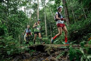 BIB: 
                            <button type="button" onclick="openModal(24772446)" class="btn btn-primary btn-sm float-right btn-popup" data-toggle="modal" data-target=".modal-high-quality">
                        <i class="fas fa-shopping-cart"></i> Add to Cart
                    </button>
                                            <button type="button" onclick="isThisMe(24772446, true)" class="btn btn-success btn-sm float-right btn-popup btn-isme hidden" data-toggle="tooltip" data-placement="bottom" title="นี่คือรูปของคุณใช่ไหม คลิกที่นี่เพื่อเอาเข้าอัลบั้ม">
                        <i class="fas fa-plus"></i> Add to album
                    </button>
                    <button type="button" onclick="isThisMe(24772446, false)" class="btn btn-warning btn-sm float-right btn-popup btn-isnotme hidden">
                        <i class="fas fa-ban"></i> Remove from album
                    </button>