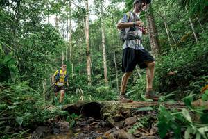 BIB: 
                            <button type="button" onclick="openModal(24774403)" class="btn btn-primary btn-sm float-right btn-popup" data-toggle="modal" data-target=".modal-high-quality">
                        <i class="fas fa-shopping-cart"></i> Add to Cart
                    </button>
                                            <button type="button" onclick="isThisMe(24774403, true)" class="btn btn-success btn-sm float-right btn-popup btn-isme hidden" data-toggle="tooltip" data-placement="bottom" title="นี่คือรูปของคุณใช่ไหม คลิกที่นี่เพื่อเอาเข้าอัลบั้ม">
                        <i class="fas fa-plus"></i> Add to album
                    </button>
                    <button type="button" onclick="isThisMe(24774403, false)" class="btn btn-warning btn-sm float-right btn-popup btn-isnotme hidden">
                        <i class="fas fa-ban"></i> Remove from album
                    </button>