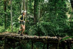 BIB: 
                            <button type="button" onclick="openModal(24766153)" class="btn btn-primary btn-sm float-right btn-popup" data-toggle="modal" data-target=".modal-high-quality">
                        <i class="fas fa-shopping-cart"></i> Add to Cart
                    </button>
                                            <button type="button" onclick="isThisMe(24766153, true)" class="btn btn-success btn-sm float-right btn-popup btn-isme hidden" data-toggle="tooltip" data-placement="bottom" title="นี่คือรูปของคุณใช่ไหม คลิกที่นี่เพื่อเอาเข้าอัลบั้ม">
                        <i class="fas fa-plus"></i> Add to album
                    </button>
                    <button type="button" onclick="isThisMe(24766153, false)" class="btn btn-warning btn-sm float-right btn-popup btn-isnotme hidden">
                        <i class="fas fa-ban"></i> Remove from album
                    </button>