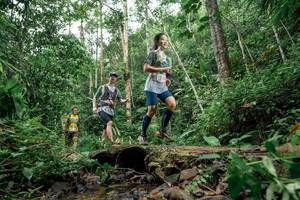 BIB: 
                            <button type="button" onclick="openModal(24774432)" class="btn btn-primary btn-sm float-right btn-popup" data-toggle="modal" data-target=".modal-high-quality">
                        <i class="fas fa-shopping-cart"></i> Add to Cart
                    </button>
                                            <button type="button" onclick="isThisMe(24774432, true)" class="btn btn-success btn-sm float-right btn-popup btn-isme hidden" data-toggle="tooltip" data-placement="bottom" title="นี่คือรูปของคุณใช่ไหม คลิกที่นี่เพื่อเอาเข้าอัลบั้ม">
                        <i class="fas fa-plus"></i> Add to album
                    </button>
                    <button type="button" onclick="isThisMe(24774432, false)" class="btn btn-warning btn-sm float-right btn-popup btn-isnotme hidden">
                        <i class="fas fa-ban"></i> Remove from album
                    </button>