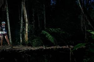 BIB: 
                            <button type="button" onclick="openModal(24760444)" class="btn btn-primary btn-sm float-right btn-popup" data-toggle="modal" data-target=".modal-high-quality">
                        <i class="fas fa-shopping-cart"></i> Add to Cart
                    </button>
                                            <button type="button" onclick="isThisMe(24760444, true)" class="btn btn-success btn-sm float-right btn-popup btn-isme hidden" data-toggle="tooltip" data-placement="bottom" title="นี่คือรูปของคุณใช่ไหม คลิกที่นี่เพื่อเอาเข้าอัลบั้ม">
                        <i class="fas fa-plus"></i> Add to album
                    </button>
                    <button type="button" onclick="isThisMe(24760444, false)" class="btn btn-warning btn-sm float-right btn-popup btn-isnotme hidden">
                        <i class="fas fa-ban"></i> Remove from album
                    </button>