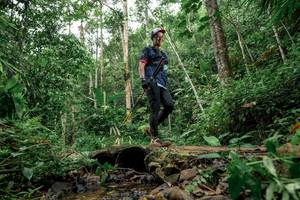 BIB: 
                            <button type="button" onclick="openModal(24773224)" class="btn btn-primary btn-sm float-right btn-popup" data-toggle="modal" data-target=".modal-high-quality">
                        <i class="fas fa-shopping-cart"></i> Add to Cart
                    </button>
                                            <button type="button" onclick="isThisMe(24773224, true)" class="btn btn-success btn-sm float-right btn-popup btn-isme hidden" data-toggle="tooltip" data-placement="bottom" title="นี่คือรูปของคุณใช่ไหม คลิกที่นี่เพื่อเอาเข้าอัลบั้ม">
                        <i class="fas fa-plus"></i> Add to album
                    </button>
                    <button type="button" onclick="isThisMe(24773224, false)" class="btn btn-warning btn-sm float-right btn-popup btn-isnotme hidden">
                        <i class="fas fa-ban"></i> Remove from album
                    </button>