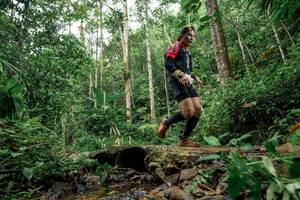 BIB: 
                            <button type="button" onclick="openModal(24775884)" class="btn btn-primary btn-sm float-right btn-popup" data-toggle="modal" data-target=".modal-high-quality">
                        <i class="fas fa-shopping-cart"></i> Add to Cart
                    </button>
                                            <button type="button" onclick="isThisMe(24775884, true)" class="btn btn-success btn-sm float-right btn-popup btn-isme hidden" data-toggle="tooltip" data-placement="bottom" title="นี่คือรูปของคุณใช่ไหม คลิกที่นี่เพื่อเอาเข้าอัลบั้ม">
                        <i class="fas fa-plus"></i> Add to album
                    </button>
                    <button type="button" onclick="isThisMe(24775884, false)" class="btn btn-warning btn-sm float-right btn-popup btn-isnotme hidden">
                        <i class="fas fa-ban"></i> Remove from album
                    </button>