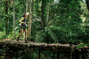 BIB: 
                            <button type="button" onclick="openModal(24766157)" class="btn btn-primary btn-sm float-right btn-popup" data-toggle="modal" data-target=".modal-high-quality">
                        <i class="fas fa-shopping-cart"></i> Add to Cart
                    </button>
                                            <button type="button" onclick="isThisMe(24766157, true)" class="btn btn-success btn-sm float-right btn-popup btn-isme hidden" data-toggle="tooltip" data-placement="bottom" title="นี่คือรูปของคุณใช่ไหม คลิกที่นี่เพื่อเอาเข้าอัลบั้ม">
                        <i class="fas fa-plus"></i> Add to album
                    </button>
                    <button type="button" onclick="isThisMe(24766157, false)" class="btn btn-warning btn-sm float-right btn-popup btn-isnotme hidden">
                        <i class="fas fa-ban"></i> Remove from album
                    </button>