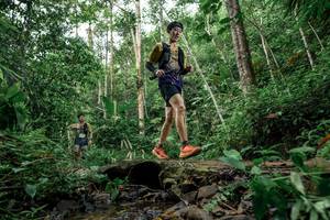 BIB: 
                            <button type="button" onclick="openModal(24767680)" class="btn btn-primary btn-sm float-right btn-popup" data-toggle="modal" data-target=".modal-high-quality">
                        <i class="fas fa-shopping-cart"></i> Add to Cart
                    </button>
                                            <button type="button" onclick="isThisMe(24767680, true)" class="btn btn-success btn-sm float-right btn-popup btn-isme hidden" data-toggle="tooltip" data-placement="bottom" title="นี่คือรูปของคุณใช่ไหม คลิกที่นี่เพื่อเอาเข้าอัลบั้ม">
                        <i class="fas fa-plus"></i> Add to album
                    </button>
                    <button type="button" onclick="isThisMe(24767680, false)" class="btn btn-warning btn-sm float-right btn-popup btn-isnotme hidden">
                        <i class="fas fa-ban"></i> Remove from album
                    </button>