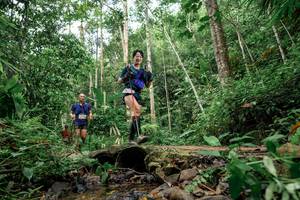 BIB: 
                            <button type="button" onclick="openModal(24770124)" class="btn btn-primary btn-sm float-right btn-popup" data-toggle="modal" data-target=".modal-high-quality">
                        <i class="fas fa-shopping-cart"></i> Add to Cart
                    </button>
                                            <button type="button" onclick="isThisMe(24770124, true)" class="btn btn-success btn-sm float-right btn-popup btn-isme hidden" data-toggle="tooltip" data-placement="bottom" title="นี่คือรูปของคุณใช่ไหม คลิกที่นี่เพื่อเอาเข้าอัลบั้ม">
                        <i class="fas fa-plus"></i> Add to album
                    </button>
                    <button type="button" onclick="isThisMe(24770124, false)" class="btn btn-warning btn-sm float-right btn-popup btn-isnotme hidden">
                        <i class="fas fa-ban"></i> Remove from album
                    </button>