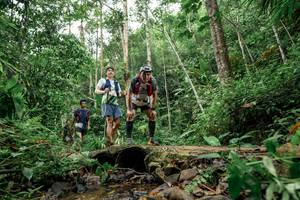 BIB: 
                            <button type="button" onclick="openModal(24773375)" class="btn btn-primary btn-sm float-right btn-popup" data-toggle="modal" data-target=".modal-high-quality">
                        <i class="fas fa-shopping-cart"></i> Add to Cart
                    </button>
                                            <button type="button" onclick="isThisMe(24773375, true)" class="btn btn-success btn-sm float-right btn-popup btn-isme hidden" data-toggle="tooltip" data-placement="bottom" title="นี่คือรูปของคุณใช่ไหม คลิกที่นี่เพื่อเอาเข้าอัลบั้ม">
                        <i class="fas fa-plus"></i> Add to album
                    </button>
                    <button type="button" onclick="isThisMe(24773375, false)" class="btn btn-warning btn-sm float-right btn-popup btn-isnotme hidden">
                        <i class="fas fa-ban"></i> Remove from album
                    </button>