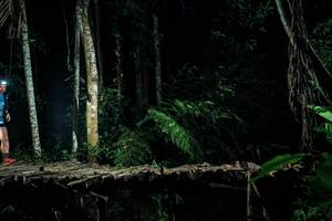 BIB: 
                            <button type="button" onclick="openModal(24758466)" class="btn btn-primary btn-sm float-right btn-popup" data-toggle="modal" data-target=".modal-high-quality">
                        <i class="fas fa-shopping-cart"></i> Add to Cart
                    </button>
                                            <button type="button" onclick="isThisMe(24758466, true)" class="btn btn-success btn-sm float-right btn-popup btn-isme hidden" data-toggle="tooltip" data-placement="bottom" title="นี่คือรูปของคุณใช่ไหม คลิกที่นี่เพื่อเอาเข้าอัลบั้ม">
                        <i class="fas fa-plus"></i> Add to album
                    </button>
                    <button type="button" onclick="isThisMe(24758466, false)" class="btn btn-warning btn-sm float-right btn-popup btn-isnotme hidden">
                        <i class="fas fa-ban"></i> Remove from album
                    </button>