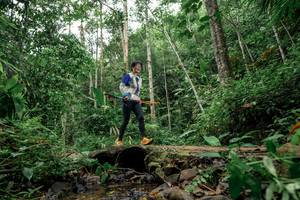 BIB: 
                            <button type="button" onclick="openModal(24771613)" class="btn btn-primary btn-sm float-right btn-popup" data-toggle="modal" data-target=".modal-high-quality">
                        <i class="fas fa-shopping-cart"></i> Add to Cart
                    </button>
                                            <button type="button" onclick="isThisMe(24771613, true)" class="btn btn-success btn-sm float-right btn-popup btn-isme hidden" data-toggle="tooltip" data-placement="bottom" title="นี่คือรูปของคุณใช่ไหม คลิกที่นี่เพื่อเอาเข้าอัลบั้ม">
                        <i class="fas fa-plus"></i> Add to album
                    </button>
                    <button type="button" onclick="isThisMe(24771613, false)" class="btn btn-warning btn-sm float-right btn-popup btn-isnotme hidden">
                        <i class="fas fa-ban"></i> Remove from album
                    </button>