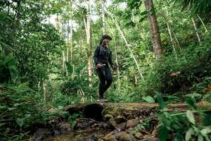 BIB: 
                            <button type="button" onclick="openModal(24766837)" class="btn btn-primary btn-sm float-right btn-popup" data-toggle="modal" data-target=".modal-high-quality">
                        <i class="fas fa-shopping-cart"></i> Add to Cart
                    </button>
                                            <button type="button" onclick="isThisMe(24766837, true)" class="btn btn-success btn-sm float-right btn-popup btn-isme hidden" data-toggle="tooltip" data-placement="bottom" title="นี่คือรูปของคุณใช่ไหม คลิกที่นี่เพื่อเอาเข้าอัลบั้ม">
                        <i class="fas fa-plus"></i> Add to album
                    </button>
                    <button type="button" onclick="isThisMe(24766837, false)" class="btn btn-warning btn-sm float-right btn-popup btn-isnotme hidden">
                        <i class="fas fa-ban"></i> Remove from album
                    </button>