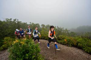 BIB: 
                            <button type="button" onclick="openModal(24741367)" class="btn btn-primary btn-sm float-right btn-popup" data-toggle="modal" data-target=".modal-high-quality">
                        <i class="fas fa-shopping-cart"></i> Add to Cart
                    </button>
                                            <button type="button" onclick="isThisMe(24741367, true)" class="btn btn-success btn-sm float-right btn-popup btn-isme hidden" data-toggle="tooltip" data-placement="bottom" title="นี่คือรูปของคุณใช่ไหม คลิกที่นี่เพื่อเอาเข้าอัลบั้ม">
                        <i class="fas fa-plus"></i> Add to album
                    </button>
                    <button type="button" onclick="isThisMe(24741367, false)" class="btn btn-warning btn-sm float-right btn-popup btn-isnotme hidden">
                        <i class="fas fa-ban"></i> Remove from album
                    </button>