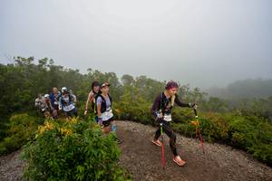 BIB: 
                            <button type="button" onclick="openModal(24741291)" class="btn btn-primary btn-sm float-right btn-popup" data-toggle="modal" data-target=".modal-high-quality">
                        <i class="fas fa-shopping-cart"></i> Add to Cart
                    </button>
                                            <button type="button" onclick="isThisMe(24741291, true)" class="btn btn-success btn-sm float-right btn-popup btn-isme hidden" data-toggle="tooltip" data-placement="bottom" title="นี่คือรูปของคุณใช่ไหม คลิกที่นี่เพื่อเอาเข้าอัลบั้ม">
                        <i class="fas fa-plus"></i> Add to album
                    </button>
                    <button type="button" onclick="isThisMe(24741291, false)" class="btn btn-warning btn-sm float-right btn-popup btn-isnotme hidden">
                        <i class="fas fa-ban"></i> Remove from album
                    </button>