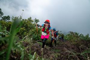 BIB: 
                            <button type="button" onclick="openModal(24829025)" class="btn btn-primary btn-sm float-right btn-popup" data-toggle="modal" data-target=".modal-high-quality">
                        <i class="fas fa-shopping-cart"></i> Add to Cart
                    </button>
                                            <button type="button" onclick="isThisMe(24829025, true)" class="btn btn-success btn-sm float-right btn-popup btn-isme hidden" data-toggle="tooltip" data-placement="bottom" title="นี่คือรูปของคุณใช่ไหม คลิกที่นี่เพื่อเอาเข้าอัลบั้ม">
                        <i class="fas fa-plus"></i> Add to album
                    </button>
                    <button type="button" onclick="isThisMe(24829025, false)" class="btn btn-warning btn-sm float-right btn-popup btn-isnotme hidden">
                        <i class="fas fa-ban"></i> Remove from album
                    </button>