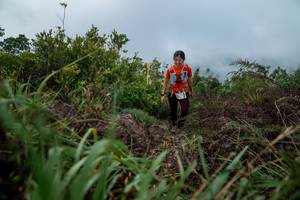 BIB: 
                            <button type="button" onclick="openModal(24828559)" class="btn btn-primary btn-sm float-right btn-popup" data-toggle="modal" data-target=".modal-high-quality">
                        <i class="fas fa-shopping-cart"></i> Add to Cart
                    </button>
                                            <button type="button" onclick="isThisMe(24828559, true)" class="btn btn-success btn-sm float-right btn-popup btn-isme hidden" data-toggle="tooltip" data-placement="bottom" title="นี่คือรูปของคุณใช่ไหม คลิกที่นี่เพื่อเอาเข้าอัลบั้ม">
                        <i class="fas fa-plus"></i> Add to album
                    </button>
                    <button type="button" onclick="isThisMe(24828559, false)" class="btn btn-warning btn-sm float-right btn-popup btn-isnotme hidden">
                        <i class="fas fa-ban"></i> Remove from album
                    </button>