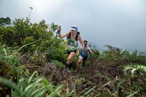 BIB: 
                            <button type="button" onclick="openModal(24828407)" class="btn btn-primary btn-sm float-right btn-popup" data-toggle="modal" data-target=".modal-high-quality">
                        <i class="fas fa-shopping-cart"></i> Add to Cart
                    </button>
                                            <button type="button" onclick="isThisMe(24828407, true)" class="btn btn-success btn-sm float-right btn-popup btn-isme hidden" data-toggle="tooltip" data-placement="bottom" title="นี่คือรูปของคุณใช่ไหม คลิกที่นี่เพื่อเอาเข้าอัลบั้ม">
                        <i class="fas fa-plus"></i> Add to album
                    </button>
                    <button type="button" onclick="isThisMe(24828407, false)" class="btn btn-warning btn-sm float-right btn-popup btn-isnotme hidden">
                        <i class="fas fa-ban"></i> Remove from album
                    </button>