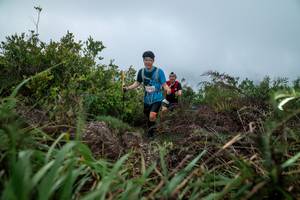 BIB: 
                            <button type="button" onclick="openModal(24828637)" class="btn btn-primary btn-sm float-right btn-popup" data-toggle="modal" data-target=".modal-high-quality">
                        <i class="fas fa-shopping-cart"></i> Add to Cart
                    </button>
                                            <button type="button" onclick="isThisMe(24828637, true)" class="btn btn-success btn-sm float-right btn-popup btn-isme hidden" data-toggle="tooltip" data-placement="bottom" title="นี่คือรูปของคุณใช่ไหม คลิกที่นี่เพื่อเอาเข้าอัลบั้ม">
                        <i class="fas fa-plus"></i> Add to album
                    </button>
                    <button type="button" onclick="isThisMe(24828637, false)" class="btn btn-warning btn-sm float-right btn-popup btn-isnotme hidden">
                        <i class="fas fa-ban"></i> Remove from album
                    </button>