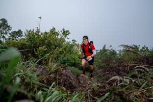 BIB: 
                            <button type="button" onclick="openModal(24719428)" class="btn btn-primary btn-sm float-right btn-popup" data-toggle="modal" data-target=".modal-high-quality">
                        <i class="fas fa-shopping-cart"></i> Add to Cart
                    </button>
                                            <button type="button" onclick="isThisMe(24719428, true)" class="btn btn-success btn-sm float-right btn-popup btn-isme hidden" data-toggle="tooltip" data-placement="bottom" title="นี่คือรูปของคุณใช่ไหม คลิกที่นี่เพื่อเอาเข้าอัลบั้ม">
                        <i class="fas fa-plus"></i> Add to album
                    </button>
                    <button type="button" onclick="isThisMe(24719428, false)" class="btn btn-warning btn-sm float-right btn-popup btn-isnotme hidden">
                        <i class="fas fa-ban"></i> Remove from album
                    </button>