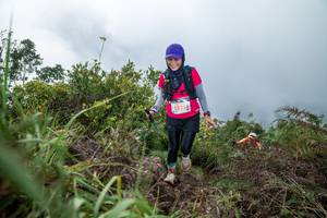 BIB: 5225
                            <button type="button" onclick="openModal(24828508)" class="btn btn-primary btn-sm float-right btn-popup" data-toggle="modal" data-target=".modal-high-quality">
                        <i class="fas fa-shopping-cart"></i> Add to Cart
                    </button>
                                            <button type="button" onclick="isThisMe(24828508, true)" class="btn btn-success btn-sm float-right btn-popup btn-isme hidden" data-toggle="tooltip" data-placement="bottom" title="นี่คือรูปของคุณใช่ไหม คลิกที่นี่เพื่อเอาเข้าอัลบั้ม">
                        <i class="fas fa-plus"></i> Add to album
                    </button>
                    <button type="button" onclick="isThisMe(24828508, false)" class="btn btn-warning btn-sm float-right btn-popup btn-isnotme hidden">
                        <i class="fas fa-ban"></i> Remove from album
                    </button>