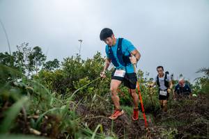 BIB: 5411
                            <button type="button" onclick="openModal(24828259)" class="btn btn-primary btn-sm float-right btn-popup" data-toggle="modal" data-target=".modal-high-quality">
                        <i class="fas fa-shopping-cart"></i> Add to Cart
                    </button>
                                            <button type="button" onclick="isThisMe(24828259, true)" class="btn btn-success btn-sm float-right btn-popup btn-isme hidden" data-toggle="tooltip" data-placement="bottom" title="นี่คือรูปของคุณใช่ไหม คลิกที่นี่เพื่อเอาเข้าอัลบั้ม">
                        <i class="fas fa-plus"></i> Add to album
                    </button>
                    <button type="button" onclick="isThisMe(24828259, false)" class="btn btn-warning btn-sm float-right btn-popup btn-isnotme hidden">
                        <i class="fas fa-ban"></i> Remove from album
                    </button>