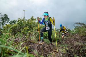 BIB: 
                            <button type="button" onclick="openModal(24829484)" class="btn btn-primary btn-sm float-right btn-popup" data-toggle="modal" data-target=".modal-high-quality">
                        <i class="fas fa-shopping-cart"></i> Add to Cart
                    </button>
                                            <button type="button" onclick="isThisMe(24829484, true)" class="btn btn-success btn-sm float-right btn-popup btn-isme hidden" data-toggle="tooltip" data-placement="bottom" title="นี่คือรูปของคุณใช่ไหม คลิกที่นี่เพื่อเอาเข้าอัลบั้ม">
                        <i class="fas fa-plus"></i> Add to album
                    </button>
                    <button type="button" onclick="isThisMe(24829484, false)" class="btn btn-warning btn-sm float-right btn-popup btn-isnotme hidden">
                        <i class="fas fa-ban"></i> Remove from album
                    </button>