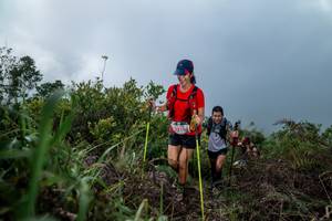 BIB: 210
                            <button type="button" onclick="openModal(24828965)" class="btn btn-primary btn-sm float-right btn-popup" data-toggle="modal" data-target=".modal-high-quality">
                        <i class="fas fa-shopping-cart"></i> Add to Cart
                    </button>
                                            <button type="button" onclick="isThisMe(24828965, true)" class="btn btn-success btn-sm float-right btn-popup btn-isme hidden" data-toggle="tooltip" data-placement="bottom" title="นี่คือรูปของคุณใช่ไหม คลิกที่นี่เพื่อเอาเข้าอัลบั้ม">
                        <i class="fas fa-plus"></i> Add to album
                    </button>
                    <button type="button" onclick="isThisMe(24828965, false)" class="btn btn-warning btn-sm float-right btn-popup btn-isnotme hidden">
                        <i class="fas fa-ban"></i> Remove from album
                    </button>