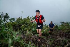 BIB: 
                            <button type="button" onclick="openModal(24828853)" class="btn btn-primary btn-sm float-right btn-popup" data-toggle="modal" data-target=".modal-high-quality">
                        <i class="fas fa-shopping-cart"></i> Add to Cart
                    </button>
                                            <button type="button" onclick="isThisMe(24828853, true)" class="btn btn-success btn-sm float-right btn-popup btn-isme hidden" data-toggle="tooltip" data-placement="bottom" title="นี่คือรูปของคุณใช่ไหม คลิกที่นี่เพื่อเอาเข้าอัลบั้ม">
                        <i class="fas fa-plus"></i> Add to album
                    </button>
                    <button type="button" onclick="isThisMe(24828853, false)" class="btn btn-warning btn-sm float-right btn-popup btn-isnotme hidden">
                        <i class="fas fa-ban"></i> Remove from album
                    </button>