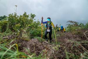 BIB: 
                            <button type="button" onclick="openModal(24829476)" class="btn btn-primary btn-sm float-right btn-popup" data-toggle="modal" data-target=".modal-high-quality">
                        <i class="fas fa-shopping-cart"></i> Add to Cart
                    </button>
                                            <button type="button" onclick="isThisMe(24829476, true)" class="btn btn-success btn-sm float-right btn-popup btn-isme hidden" data-toggle="tooltip" data-placement="bottom" title="นี่คือรูปของคุณใช่ไหม คลิกที่นี่เพื่อเอาเข้าอัลบั้ม">
                        <i class="fas fa-plus"></i> Add to album
                    </button>
                    <button type="button" onclick="isThisMe(24829476, false)" class="btn btn-warning btn-sm float-right btn-popup btn-isnotme hidden">
                        <i class="fas fa-ban"></i> Remove from album
                    </button>