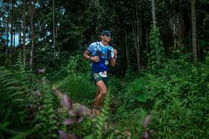 BIB: 
                            <button type="button" onclick="openModal(24706591)" class="btn btn-primary btn-sm float-right btn-popup" data-toggle="modal" data-target=".modal-high-quality">
                        <i class="fas fa-shopping-cart"></i> Add to Cart
                    </button>
                                            <button type="button" onclick="isThisMe(24706591, true)" class="btn btn-success btn-sm float-right btn-popup btn-isme hidden" data-toggle="tooltip" data-placement="bottom" title="นี่คือรูปของคุณใช่ไหม คลิกที่นี่เพื่อเอาเข้าอัลบั้ม">
                        <i class="fas fa-plus"></i> Add to album
                    </button>
                    <button type="button" onclick="isThisMe(24706591, false)" class="btn btn-warning btn-sm float-right btn-popup btn-isnotme hidden">
                        <i class="fas fa-ban"></i> Remove from album
                    </button>