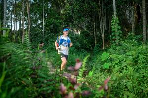 BIB: 
                            <button type="button" onclick="openModal(24705838)" class="btn btn-primary btn-sm float-right btn-popup" data-toggle="modal" data-target=".modal-high-quality">
                        <i class="fas fa-shopping-cart"></i> Add to Cart
                    </button>
                                            <button type="button" onclick="isThisMe(24705838, true)" class="btn btn-success btn-sm float-right btn-popup btn-isme hidden" data-toggle="tooltip" data-placement="bottom" title="นี่คือรูปของคุณใช่ไหม คลิกที่นี่เพื่อเอาเข้าอัลบั้ม">
                        <i class="fas fa-plus"></i> Add to album
                    </button>
                    <button type="button" onclick="isThisMe(24705838, false)" class="btn btn-warning btn-sm float-right btn-popup btn-isnotme hidden">
                        <i class="fas fa-ban"></i> Remove from album
                    </button>