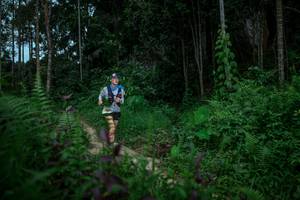 BIB: 
                            <button type="button" onclick="openModal(24706571)" class="btn btn-primary btn-sm float-right btn-popup" data-toggle="modal" data-target=".modal-high-quality">
                        <i class="fas fa-shopping-cart"></i> Add to Cart
                    </button>
                                            <button type="button" onclick="isThisMe(24706571, true)" class="btn btn-success btn-sm float-right btn-popup btn-isme hidden" data-toggle="tooltip" data-placement="bottom" title="นี่คือรูปของคุณใช่ไหม คลิกที่นี่เพื่อเอาเข้าอัลบั้ม">
                        <i class="fas fa-plus"></i> Add to album
                    </button>
                    <button type="button" onclick="isThisMe(24706571, false)" class="btn btn-warning btn-sm float-right btn-popup btn-isnotme hidden">
                        <i class="fas fa-ban"></i> Remove from album
                    </button>