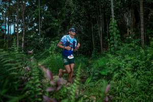 BIB: 
                            <button type="button" onclick="openModal(24706594)" class="btn btn-primary btn-sm float-right btn-popup" data-toggle="modal" data-target=".modal-high-quality">
                        <i class="fas fa-shopping-cart"></i> Add to Cart
                    </button>
                                            <button type="button" onclick="isThisMe(24706594, true)" class="btn btn-success btn-sm float-right btn-popup btn-isme hidden" data-toggle="tooltip" data-placement="bottom" title="นี่คือรูปของคุณใช่ไหม คลิกที่นี่เพื่อเอาเข้าอัลบั้ม">
                        <i class="fas fa-plus"></i> Add to album
                    </button>
                    <button type="button" onclick="isThisMe(24706594, false)" class="btn btn-warning btn-sm float-right btn-popup btn-isnotme hidden">
                        <i class="fas fa-ban"></i> Remove from album
                    </button>