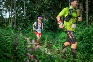 BIB: 234
                            <button type="button" onclick="openModal(24706043)" class="btn btn-primary btn-sm float-right btn-popup" data-toggle="modal" data-target=".modal-high-quality">
                        <i class="fas fa-shopping-cart"></i> Add to Cart
                    </button>
                                            <button type="button" onclick="isThisMe(24706043, true)" class="btn btn-success btn-sm float-right btn-popup btn-isme hidden" data-toggle="tooltip" data-placement="bottom" title="นี่คือรูปของคุณใช่ไหม คลิกที่นี่เพื่อเอาเข้าอัลบั้ม">
                        <i class="fas fa-plus"></i> Add to album
                    </button>
                    <button type="button" onclick="isThisMe(24706043, false)" class="btn btn-warning btn-sm float-right btn-popup btn-isnotme hidden">
                        <i class="fas fa-ban"></i> Remove from album
                    </button>