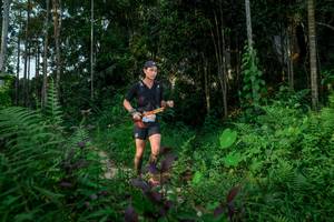 BIB: 
                            <button type="button" onclick="openModal(24705557)" class="btn btn-primary btn-sm float-right btn-popup" data-toggle="modal" data-target=".modal-high-quality">
                        <i class="fas fa-shopping-cart"></i> Add to Cart
                    </button>
                                            <button type="button" onclick="isThisMe(24705557, true)" class="btn btn-success btn-sm float-right btn-popup btn-isme hidden" data-toggle="tooltip" data-placement="bottom" title="นี่คือรูปของคุณใช่ไหม คลิกที่นี่เพื่อเอาเข้าอัลบั้ม">
                        <i class="fas fa-plus"></i> Add to album
                    </button>
                    <button type="button" onclick="isThisMe(24705557, false)" class="btn btn-warning btn-sm float-right btn-popup btn-isnotme hidden">
                        <i class="fas fa-ban"></i> Remove from album
                    </button>