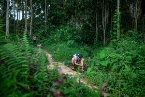 BIB: 
                            <button type="button" onclick="openModal(24706134)" class="btn btn-primary btn-sm float-right btn-popup" data-toggle="modal" data-target=".modal-high-quality">
                        <i class="fas fa-shopping-cart"></i> Add to Cart
                    </button>
                                            <button type="button" onclick="isThisMe(24706134, true)" class="btn btn-success btn-sm float-right btn-popup btn-isme hidden" data-toggle="tooltip" data-placement="bottom" title="นี่คือรูปของคุณใช่ไหม คลิกที่นี่เพื่อเอาเข้าอัลบั้ม">
                        <i class="fas fa-plus"></i> Add to album
                    </button>
                    <button type="button" onclick="isThisMe(24706134, false)" class="btn btn-warning btn-sm float-right btn-popup btn-isnotme hidden">
                        <i class="fas fa-ban"></i> Remove from album
                    </button>