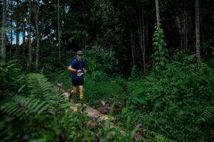 BIB: 
                            <button type="button" onclick="openModal(24706690)" class="btn btn-primary btn-sm float-right btn-popup" data-toggle="modal" data-target=".modal-high-quality">
                        <i class="fas fa-shopping-cart"></i> Add to Cart
                    </button>
                                            <button type="button" onclick="isThisMe(24706690, true)" class="btn btn-success btn-sm float-right btn-popup btn-isme hidden" data-toggle="tooltip" data-placement="bottom" title="นี่คือรูปของคุณใช่ไหม คลิกที่นี่เพื่อเอาเข้าอัลบั้ม">
                        <i class="fas fa-plus"></i> Add to album
                    </button>
                    <button type="button" onclick="isThisMe(24706690, false)" class="btn btn-warning btn-sm float-right btn-popup btn-isnotme hidden">
                        <i class="fas fa-ban"></i> Remove from album
                    </button>