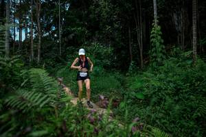 BIB: 
                            <button type="button" onclick="openModal(24706666)" class="btn btn-primary btn-sm float-right btn-popup" data-toggle="modal" data-target=".modal-high-quality">
                        <i class="fas fa-shopping-cart"></i> Add to Cart
                    </button>
                                            <button type="button" onclick="isThisMe(24706666, true)" class="btn btn-success btn-sm float-right btn-popup btn-isme hidden" data-toggle="tooltip" data-placement="bottom" title="นี่คือรูปของคุณใช่ไหม คลิกที่นี่เพื่อเอาเข้าอัลบั้ม">
                        <i class="fas fa-plus"></i> Add to album
                    </button>
                    <button type="button" onclick="isThisMe(24706666, false)" class="btn btn-warning btn-sm float-right btn-popup btn-isnotme hidden">
                        <i class="fas fa-ban"></i> Remove from album
                    </button>