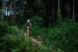 BIB: 
                            <button type="button" onclick="openModal(24706669)" class="btn btn-primary btn-sm float-right btn-popup" data-toggle="modal" data-target=".modal-high-quality">
                        <i class="fas fa-shopping-cart"></i> Add to Cart
                    </button>
                                            <button type="button" onclick="isThisMe(24706669, true)" class="btn btn-success btn-sm float-right btn-popup btn-isme hidden" data-toggle="tooltip" data-placement="bottom" title="นี่คือรูปของคุณใช่ไหม คลิกที่นี่เพื่อเอาเข้าอัลบั้ม">
                        <i class="fas fa-plus"></i> Add to album
                    </button>
                    <button type="button" onclick="isThisMe(24706669, false)" class="btn btn-warning btn-sm float-right btn-popup btn-isnotme hidden">
                        <i class="fas fa-ban"></i> Remove from album
                    </button>