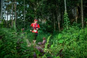 BIB: 
                            <button type="button" onclick="openModal(24705788)" class="btn btn-primary btn-sm float-right btn-popup" data-toggle="modal" data-target=".modal-high-quality">
                        <i class="fas fa-shopping-cart"></i> Add to Cart
                    </button>
                                            <button type="button" onclick="isThisMe(24705788, true)" class="btn btn-success btn-sm float-right btn-popup btn-isme hidden" data-toggle="tooltip" data-placement="bottom" title="นี่คือรูปของคุณใช่ไหม คลิกที่นี่เพื่อเอาเข้าอัลบั้ม">
                        <i class="fas fa-plus"></i> Add to album
                    </button>
                    <button type="button" onclick="isThisMe(24705788, false)" class="btn btn-warning btn-sm float-right btn-popup btn-isnotme hidden">
                        <i class="fas fa-ban"></i> Remove from album
                    </button>