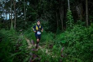 BIB: 
                            <button type="button" onclick="openModal(24706592)" class="btn btn-primary btn-sm float-right btn-popup" data-toggle="modal" data-target=".modal-high-quality">
                        <i class="fas fa-shopping-cart"></i> Add to Cart
                    </button>
                                            <button type="button" onclick="isThisMe(24706592, true)" class="btn btn-success btn-sm float-right btn-popup btn-isme hidden" data-toggle="tooltip" data-placement="bottom" title="นี่คือรูปของคุณใช่ไหม คลิกที่นี่เพื่อเอาเข้าอัลบั้ม">
                        <i class="fas fa-plus"></i> Add to album
                    </button>
                    <button type="button" onclick="isThisMe(24706592, false)" class="btn btn-warning btn-sm float-right btn-popup btn-isnotme hidden">
                        <i class="fas fa-ban"></i> Remove from album
                    </button>