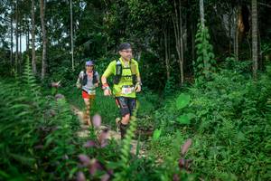 BIB: 5094
                            <button type="button" onclick="openModal(24706055)" class="btn btn-primary btn-sm float-right btn-popup" data-toggle="modal" data-target=".modal-high-quality">
                        <i class="fas fa-shopping-cart"></i> Add to Cart
                    </button>
                                            <button type="button" onclick="isThisMe(24706055, true)" class="btn btn-success btn-sm float-right btn-popup btn-isme hidden" data-toggle="tooltip" data-placement="bottom" title="นี่คือรูปของคุณใช่ไหม คลิกที่นี่เพื่อเอาเข้าอัลบั้ม">
                        <i class="fas fa-plus"></i> Add to album
                    </button>
                    <button type="button" onclick="isThisMe(24706055, false)" class="btn btn-warning btn-sm float-right btn-popup btn-isnotme hidden">
                        <i class="fas fa-ban"></i> Remove from album
                    </button>