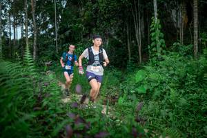 BIB: 5074
                            <button type="button" onclick="openModal(24706209)" class="btn btn-primary btn-sm float-right btn-popup" data-toggle="modal" data-target=".modal-high-quality">
                        <i class="fas fa-shopping-cart"></i> Add to Cart
                    </button>
                                            <button type="button" onclick="isThisMe(24706209, true)" class="btn btn-success btn-sm float-right btn-popup btn-isme hidden" data-toggle="tooltip" data-placement="bottom" title="นี่คือรูปของคุณใช่ไหม คลิกที่นี่เพื่อเอาเข้าอัลบั้ม">
                        <i class="fas fa-plus"></i> Add to album
                    </button>
                    <button type="button" onclick="isThisMe(24706209, false)" class="btn btn-warning btn-sm float-right btn-popup btn-isnotme hidden">
                        <i class="fas fa-ban"></i> Remove from album
                    </button>