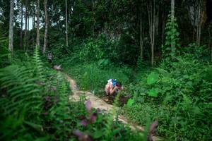 BIB: 
                            <button type="button" onclick="openModal(24706138)" class="btn btn-primary btn-sm float-right btn-popup" data-toggle="modal" data-target=".modal-high-quality">
                        <i class="fas fa-shopping-cart"></i> Add to Cart
                    </button>
                                            <button type="button" onclick="isThisMe(24706138, true)" class="btn btn-success btn-sm float-right btn-popup btn-isme hidden" data-toggle="tooltip" data-placement="bottom" title="นี่คือรูปของคุณใช่ไหม คลิกที่นี่เพื่อเอาเข้าอัลบั้ม">
                        <i class="fas fa-plus"></i> Add to album
                    </button>
                    <button type="button" onclick="isThisMe(24706138, false)" class="btn btn-warning btn-sm float-right btn-popup btn-isnotme hidden">
                        <i class="fas fa-ban"></i> Remove from album
                    </button>