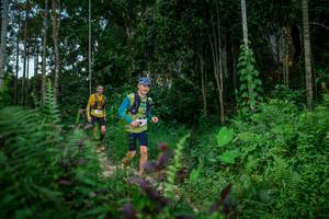 BIB: 
                            <button type="button" onclick="openModal(24705752)" class="btn btn-primary btn-sm float-right btn-popup" data-toggle="modal" data-target=".modal-high-quality">
                        <i class="fas fa-shopping-cart"></i> Add to Cart
                    </button>
                                            <button type="button" onclick="isThisMe(24705752, true)" class="btn btn-success btn-sm float-right btn-popup btn-isme hidden" data-toggle="tooltip" data-placement="bottom" title="นี่คือรูปของคุณใช่ไหม คลิกที่นี่เพื่อเอาเข้าอัลบั้ม">
                        <i class="fas fa-plus"></i> Add to album
                    </button>
                    <button type="button" onclick="isThisMe(24705752, false)" class="btn btn-warning btn-sm float-right btn-popup btn-isnotme hidden">
                        <i class="fas fa-ban"></i> Remove from album
                    </button>