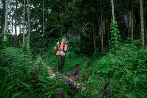 BIB: 
                            <button type="button" onclick="openModal(24704418)" class="btn btn-primary btn-sm float-right btn-popup" data-toggle="modal" data-target=".modal-high-quality">
                        <i class="fas fa-shopping-cart"></i> Add to Cart
                    </button>
                                            <button type="button" onclick="isThisMe(24704418, true)" class="btn btn-success btn-sm float-right btn-popup btn-isme hidden" data-toggle="tooltip" data-placement="bottom" title="นี่คือรูปของคุณใช่ไหม คลิกที่นี่เพื่อเอาเข้าอัลบั้ม">
                        <i class="fas fa-plus"></i> Add to album
                    </button>
                    <button type="button" onclick="isThisMe(24704418, false)" class="btn btn-warning btn-sm float-right btn-popup btn-isnotme hidden">
                        <i class="fas fa-ban"></i> Remove from album
                    </button>