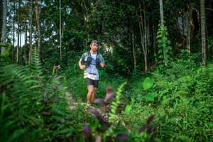 BIB: 
                            <button type="button" onclick="openModal(24705789)" class="btn btn-primary btn-sm float-right btn-popup" data-toggle="modal" data-target=".modal-high-quality">
                        <i class="fas fa-shopping-cart"></i> Add to Cart
                    </button>
                                            <button type="button" onclick="isThisMe(24705789, true)" class="btn btn-success btn-sm float-right btn-popup btn-isme hidden" data-toggle="tooltip" data-placement="bottom" title="นี่คือรูปของคุณใช่ไหม คลิกที่นี่เพื่อเอาเข้าอัลบั้ม">
                        <i class="fas fa-plus"></i> Add to album
                    </button>
                    <button type="button" onclick="isThisMe(24705789, false)" class="btn btn-warning btn-sm float-right btn-popup btn-isnotme hidden">
                        <i class="fas fa-ban"></i> Remove from album
                    </button>