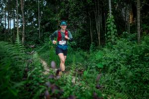 BIB: 5111
                            <button type="button" onclick="openModal(24706468)" class="btn btn-primary btn-sm float-right btn-popup" data-toggle="modal" data-target=".modal-high-quality">
                        <i class="fas fa-shopping-cart"></i> Add to Cart
                    </button>
                                            <button type="button" onclick="isThisMe(24706468, true)" class="btn btn-success btn-sm float-right btn-popup btn-isme hidden" data-toggle="tooltip" data-placement="bottom" title="นี่คือรูปของคุณใช่ไหม คลิกที่นี่เพื่อเอาเข้าอัลบั้ม">
                        <i class="fas fa-plus"></i> Add to album
                    </button>
                    <button type="button" onclick="isThisMe(24706468, false)" class="btn btn-warning btn-sm float-right btn-popup btn-isnotme hidden">
                        <i class="fas fa-ban"></i> Remove from album
                    </button>