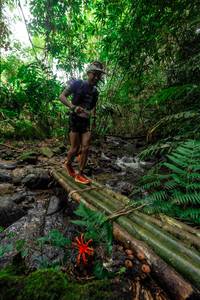 BIB: 
                            <button type="button" onclick="openModal(24821585)" class="btn btn-primary btn-sm float-right btn-popup" data-toggle="modal" data-target=".modal-high-quality">
                        <i class="fas fa-shopping-cart"></i> Add to Cart
                    </button>
                                            <button type="button" onclick="isThisMe(24821585, true)" class="btn btn-success btn-sm float-right btn-popup btn-isme hidden" data-toggle="tooltip" data-placement="bottom" title="นี่คือรูปของคุณใช่ไหม คลิกที่นี่เพื่อเอาเข้าอัลบั้ม">
                        <i class="fas fa-plus"></i> Add to album
                    </button>
                    <button type="button" onclick="isThisMe(24821585, false)" class="btn btn-warning btn-sm float-right btn-popup btn-isnotme hidden">
                        <i class="fas fa-ban"></i> Remove from album
                    </button>