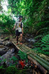 BIB: 
                            <button type="button" onclick="openModal(24820428)" class="btn btn-primary btn-sm float-right btn-popup" data-toggle="modal" data-target=".modal-high-quality">
                        <i class="fas fa-shopping-cart"></i> Add to Cart
                    </button>
                                            <button type="button" onclick="isThisMe(24820428, true)" class="btn btn-success btn-sm float-right btn-popup btn-isme hidden" data-toggle="tooltip" data-placement="bottom" title="นี่คือรูปของคุณใช่ไหม คลิกที่นี่เพื่อเอาเข้าอัลบั้ม">
                        <i class="fas fa-plus"></i> Add to album
                    </button>
                    <button type="button" onclick="isThisMe(24820428, false)" class="btn btn-warning btn-sm float-right btn-popup btn-isnotme hidden">
                        <i class="fas fa-ban"></i> Remove from album
                    </button>