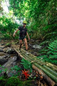 BIB: 
                            <button type="button" onclick="openModal(24820370)" class="btn btn-primary btn-sm float-right btn-popup" data-toggle="modal" data-target=".modal-high-quality">
                        <i class="fas fa-shopping-cart"></i> Add to Cart
                    </button>
                                            <button type="button" onclick="isThisMe(24820370, true)" class="btn btn-success btn-sm float-right btn-popup btn-isme hidden" data-toggle="tooltip" data-placement="bottom" title="นี่คือรูปของคุณใช่ไหม คลิกที่นี่เพื่อเอาเข้าอัลบั้ม">
                        <i class="fas fa-plus"></i> Add to album
                    </button>
                    <button type="button" onclick="isThisMe(24820370, false)" class="btn btn-warning btn-sm float-right btn-popup btn-isnotme hidden">
                        <i class="fas fa-ban"></i> Remove from album
                    </button>